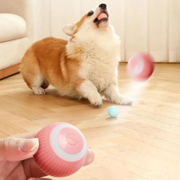 Pelota Diversión Sin Fin