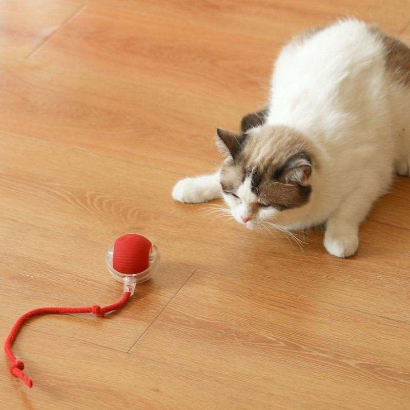 Pelota Interactiva Recargable