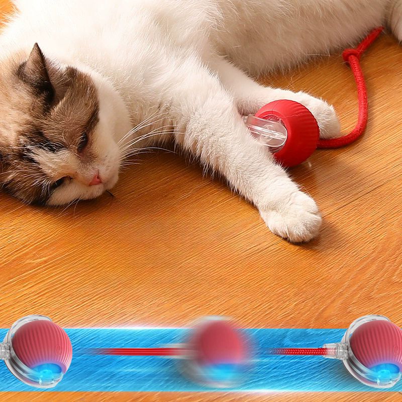 Pelota Interactiva Recargable