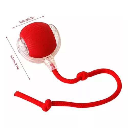 Pelota Interactiva Recargable