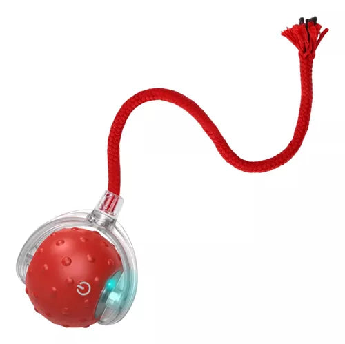 Pelota Interactiva Recargable