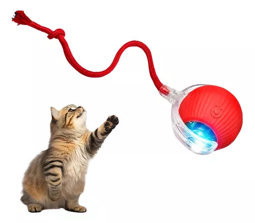 Pelota Interactiva Recargable