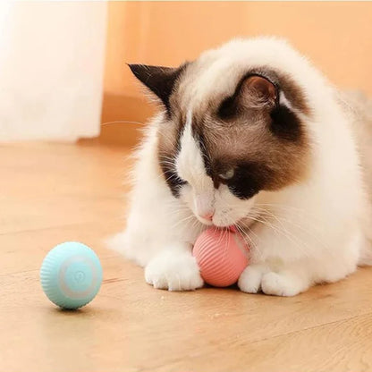 Pelota Diversión Sin Fin
